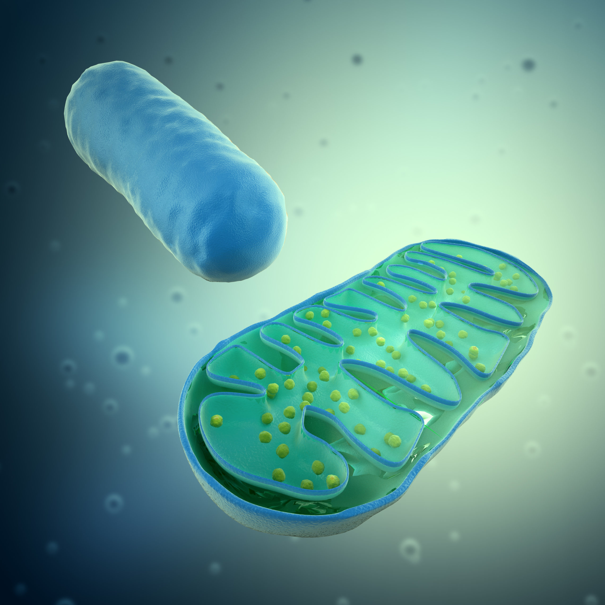 Mitochondria terapia ihht